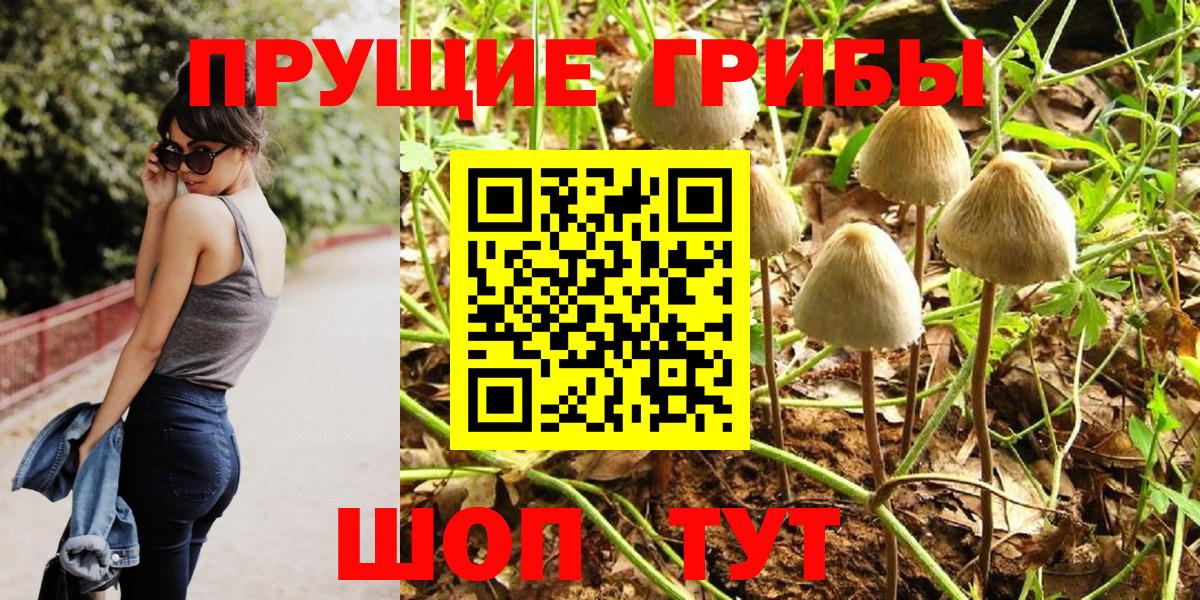 Псилоцибиновые грибы MAGIC MUSHROOMS  Псилоцибиновые грибы ЛСД  Чита  Вход с VPN 